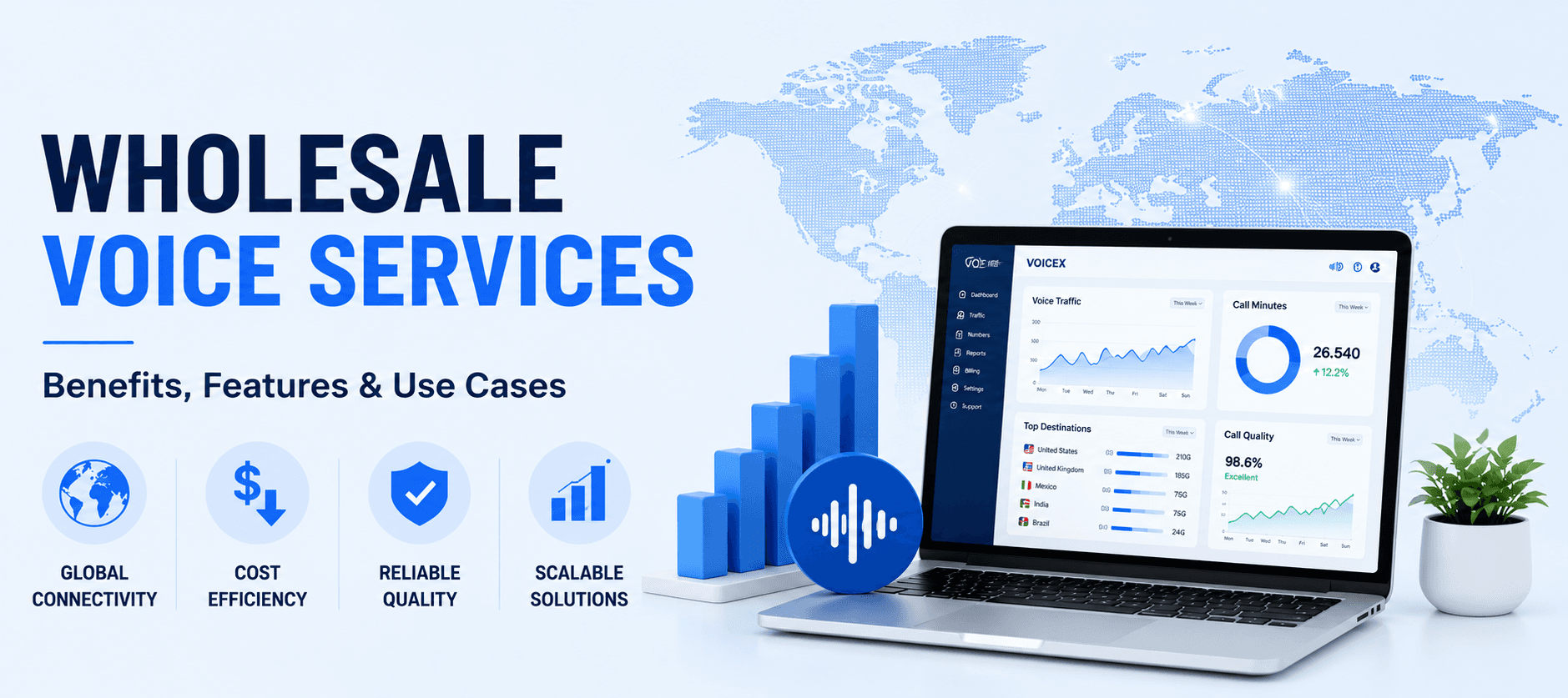 wholesale voice services