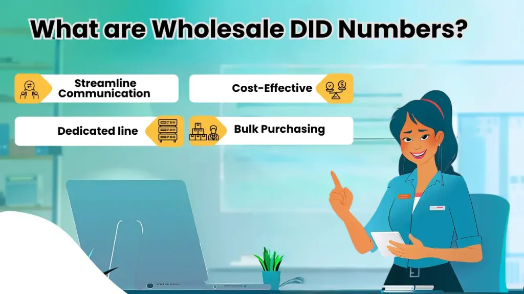 What are Wholesale DID Numbers