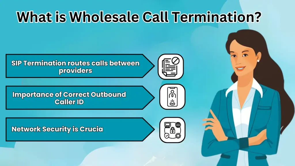 What is Wholesale Call Termination?