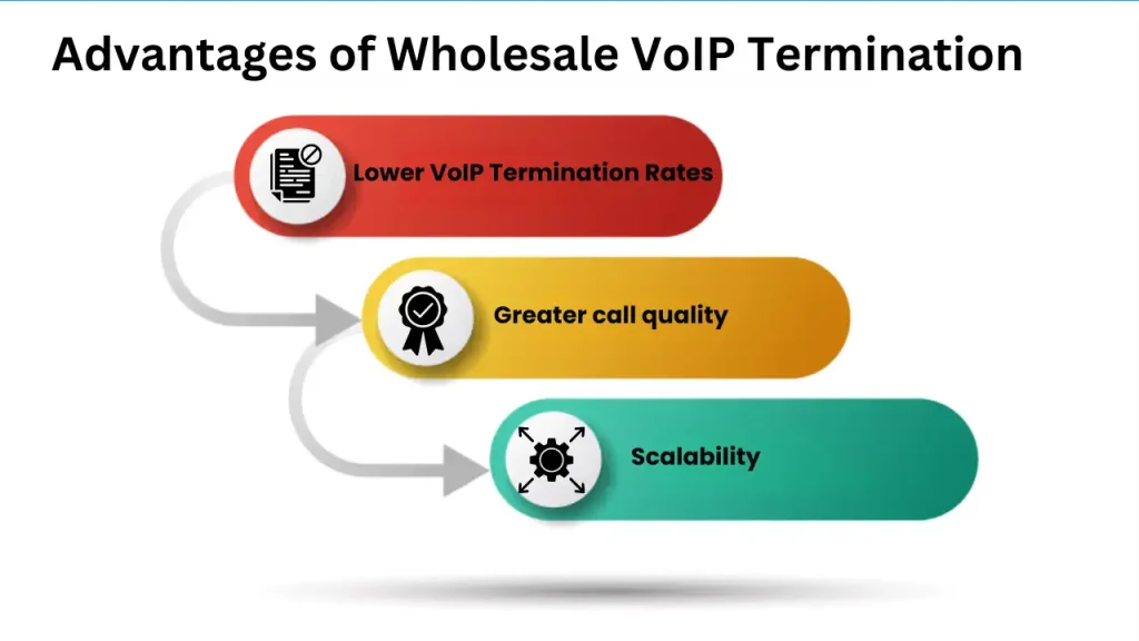 Voice Termination Providers