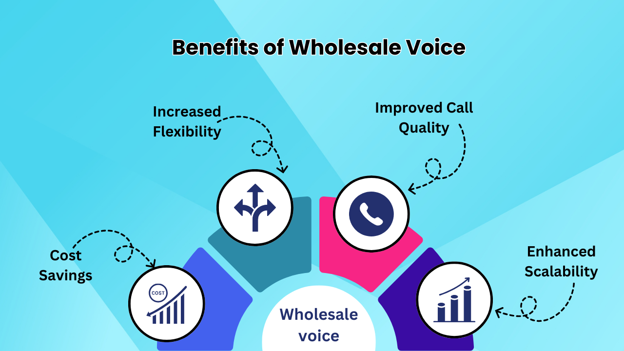 Benefits of Wholesale Voice 