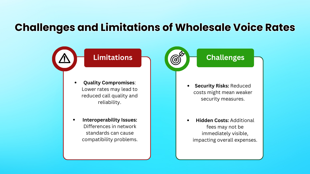 Challenges and Limitations of Wholesale Voice Rates