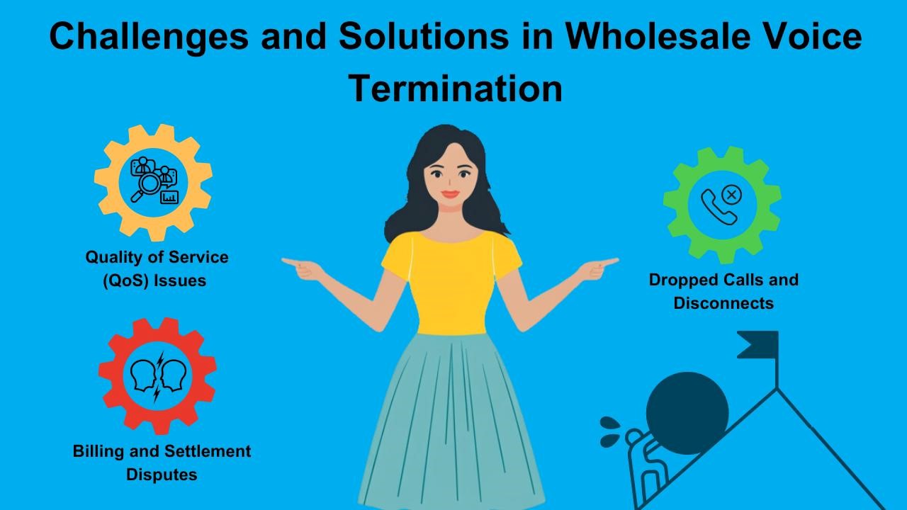 Challenges and Solutions in Wholesale Voice Termination 