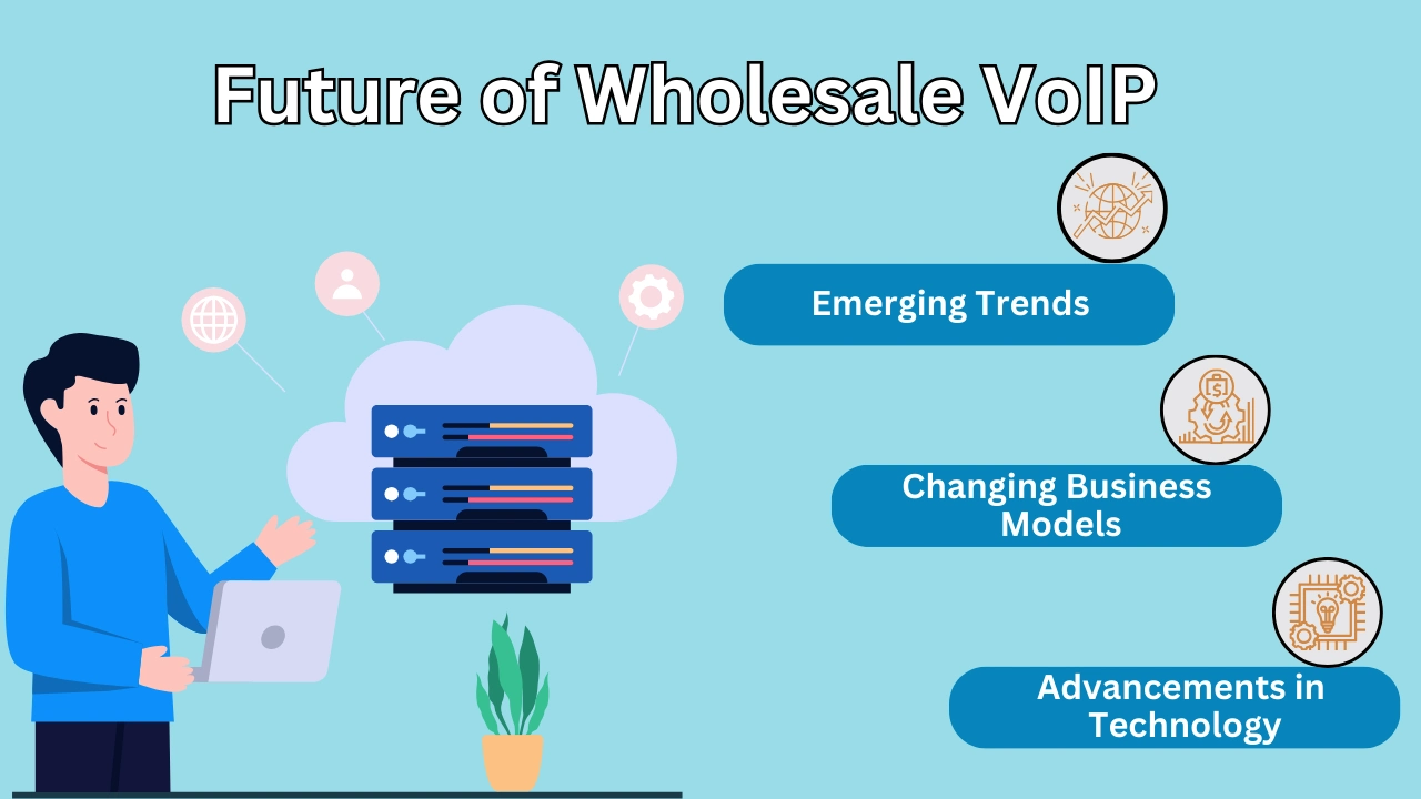 Future of Wholesale VoIP 