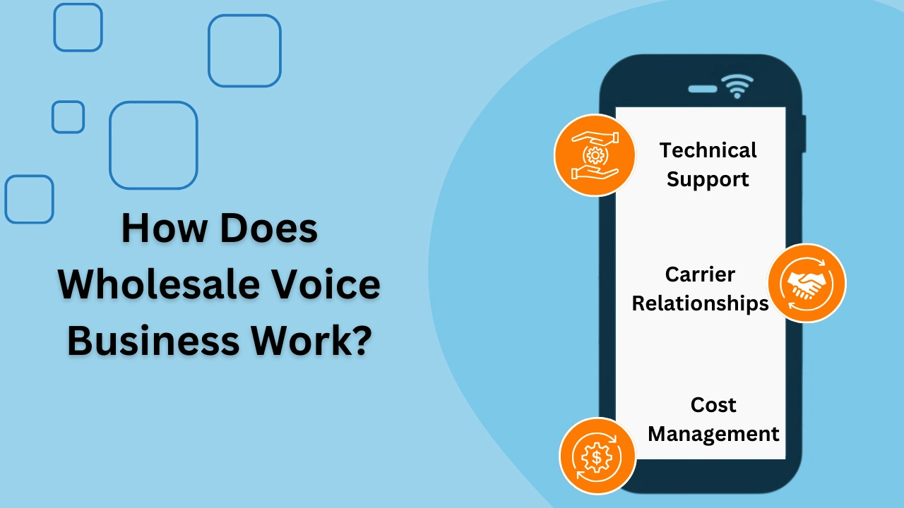 How Does Wholesale Voice Business Work?