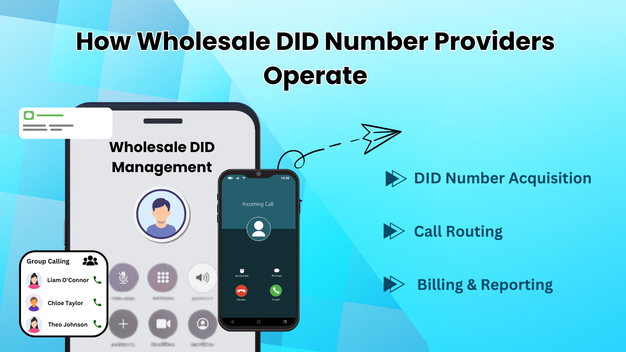 How Wholesale DID Number Providers Operate