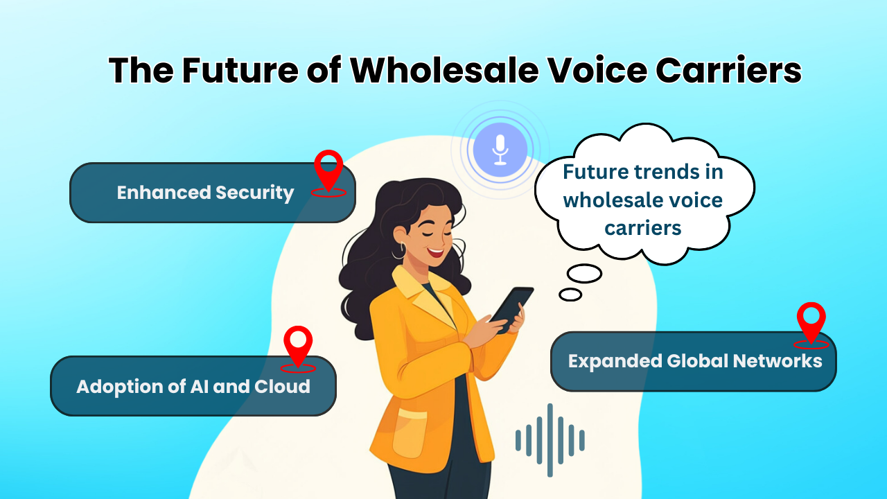The Future of Wholesale Voice Carriers