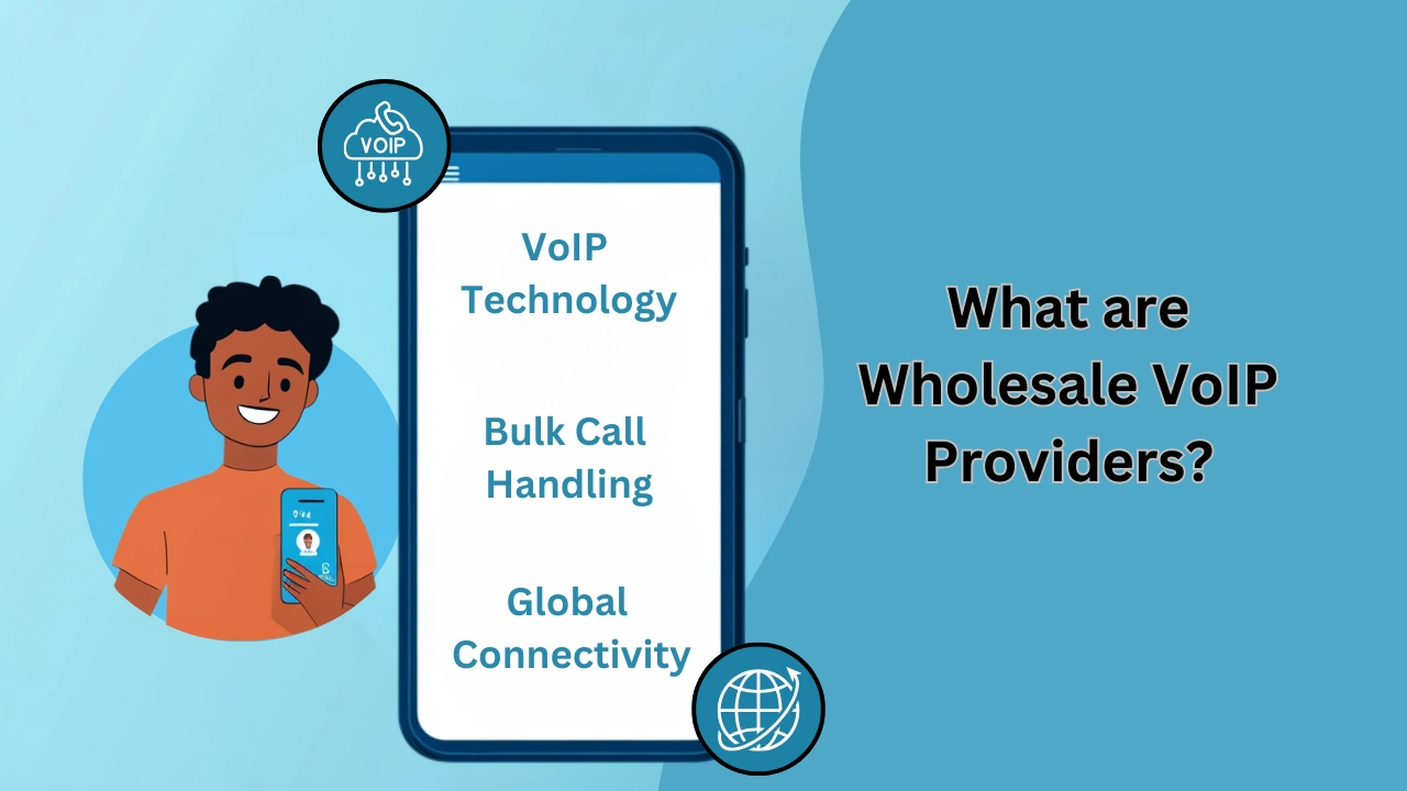 What are Wholesale VoIP Providers?