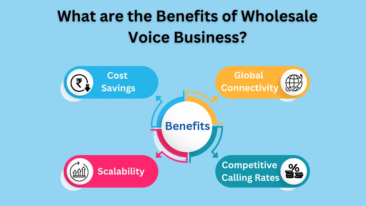What are the Benefits of Wholesale Voice Business?