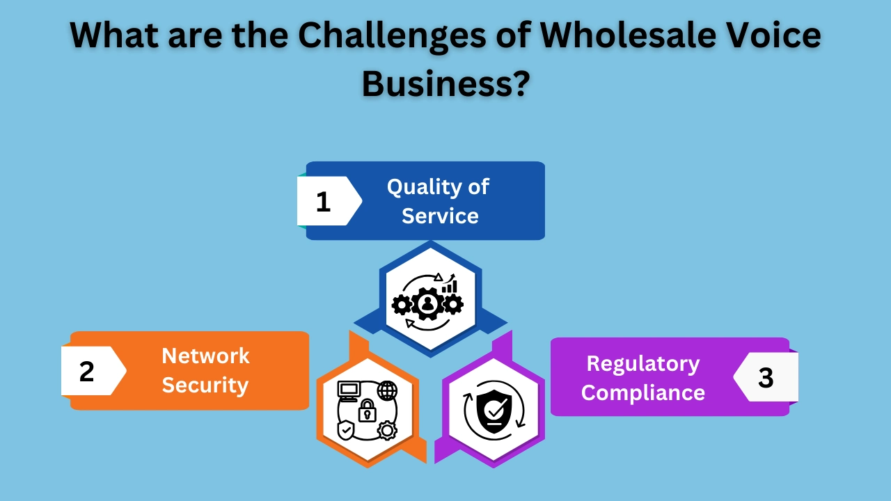 What are the Challenges of Wholesale Voice Business?