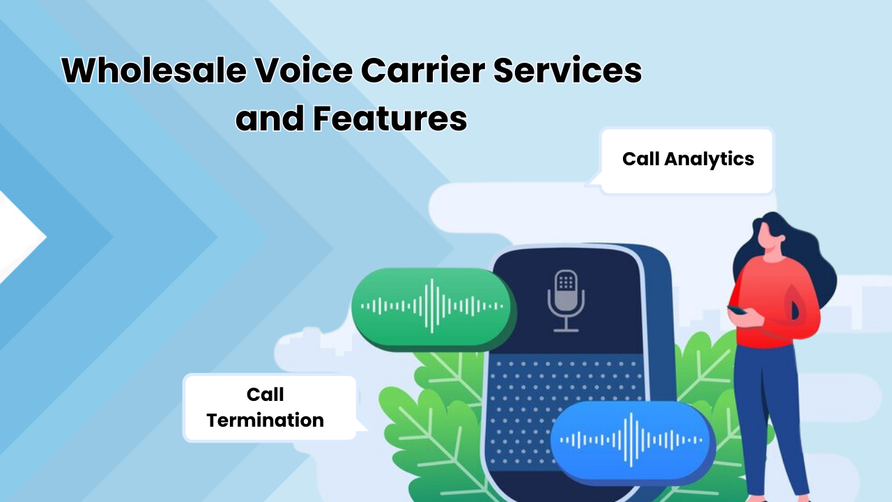 Wholesale Voice Carrier Services and Features
