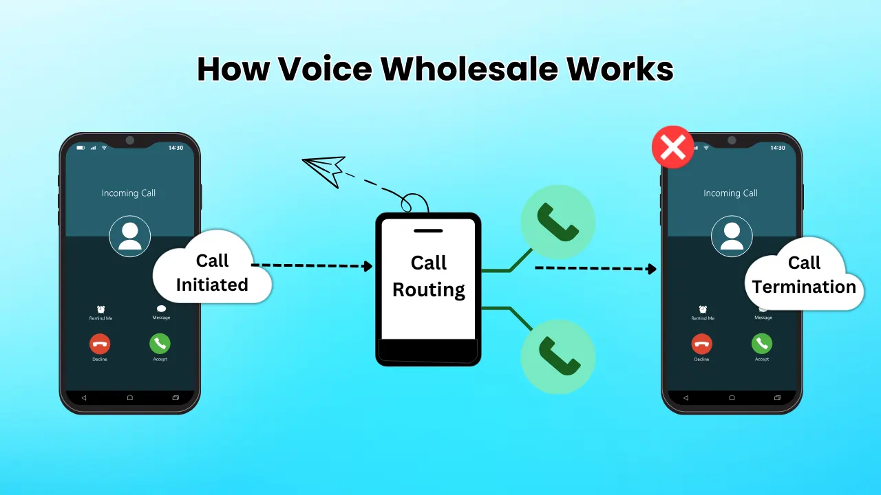 How-Voice-Wholesale-Works