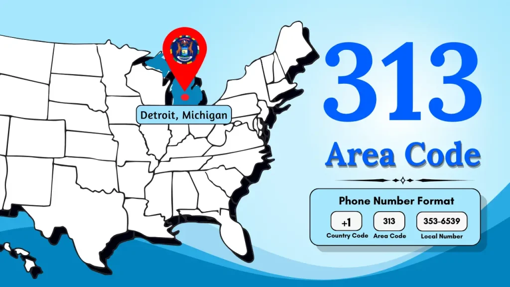 Mastering the Motor City's Connection_ Your Ultimate Guide to the 313 Area Code with Rozper