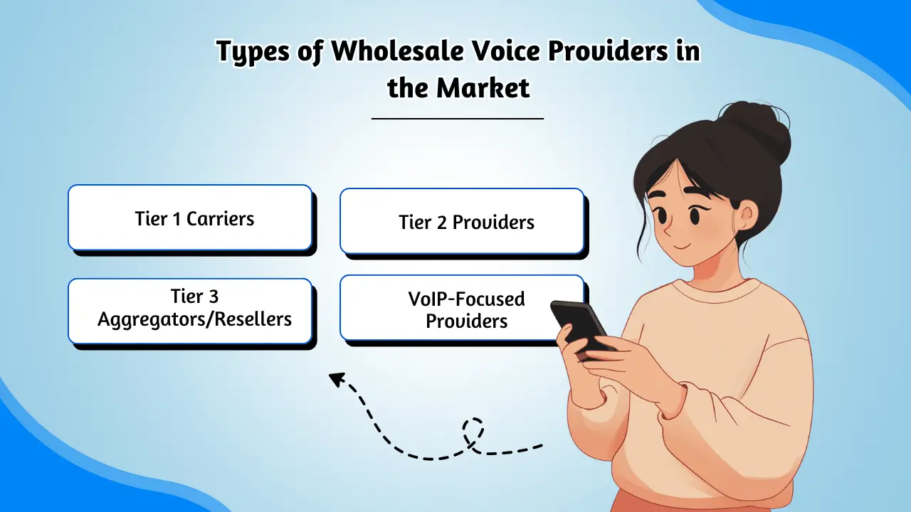 Types of Wholesale Voice Providers in the Market