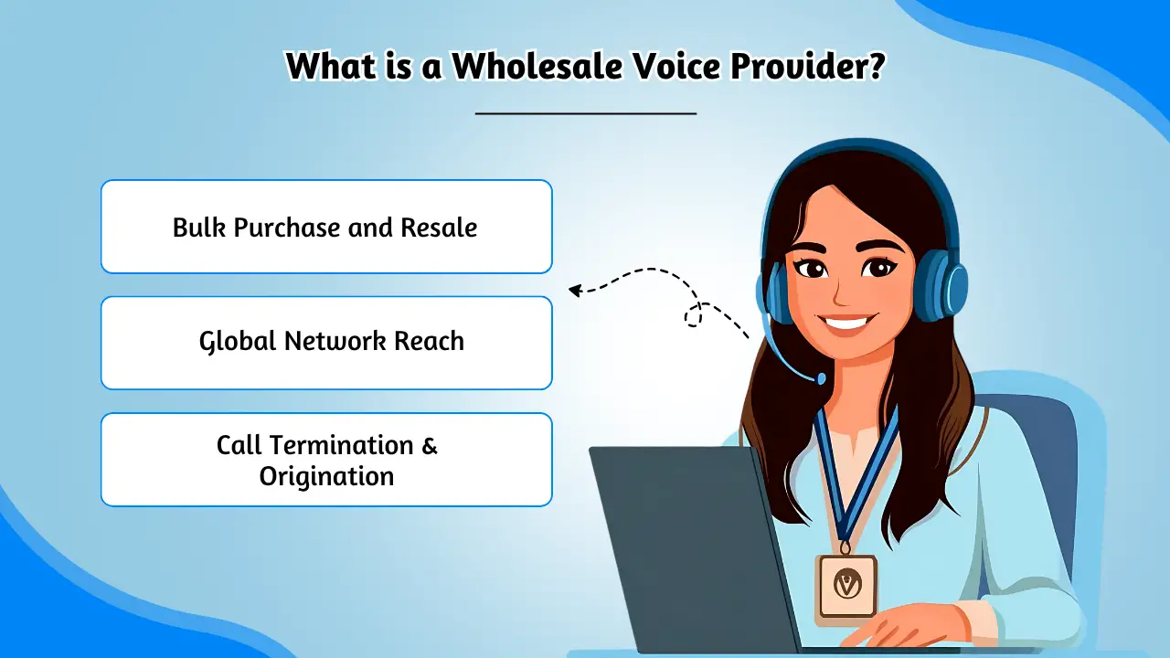 What is a Wholesale Voice Provider
