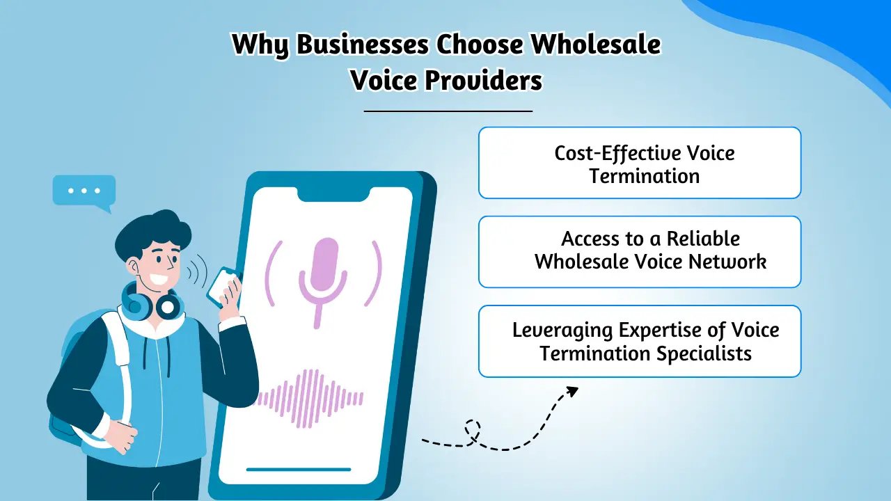 Why Businesses Choose Wholesale Voice Providers
